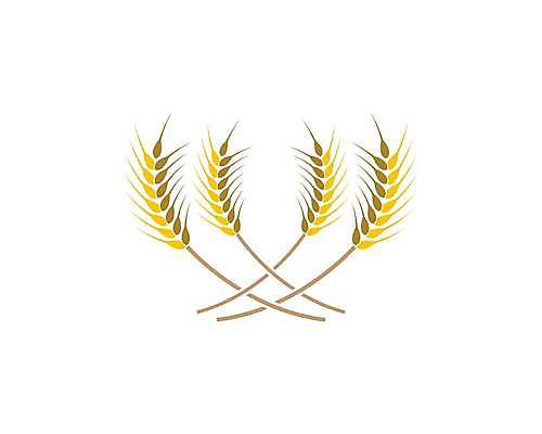 EPS 해외이미지 식물 디자인 배너 음식 빵 백그라운드 농업 다이어트 일러스트 자연 밥 건조 건강 옥수수 씨앗 농작물 농장 노란색 라벨 수확 성장 신선 시장 황금 상품 낟알 시리얼 밀 먹기 심볼 사인 유기농 보리 밀가루 스파이크 내추럴 고립 밭일 엘리먼트 귀리 해외일러스트 웰빙 산업 컬러 모션 곡류 프레임 가루 생태계 파일형식 벡터 이미지허브