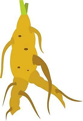 EPS 해외이미지 라이프스타일 문화 음료 음식 다이어트 채소 일러스트 한국 건강 동양인 약 중국 활발 에너지 시장 플랫 선택 약초 허브 보따리 유기농 뿌리 남쪽 내추럴 보충 돌봄 면역력 토닉 해외일러스트 식물 웰빙 아시아 컨셉 의학 모션 인종 생활 풀_식물 방향 파일형식 벡터 이미지허브