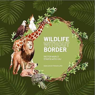 EPS 해외이미지 야생동물 잎 여러마리 일러스트 프레임 사람없음 초록색 나뭇가지 거북이 사자 기린 앵무새 독수리 꽃사슴 프레임일러스트 해외일러스트 나무 식물 동물 컬러 다수 포유류 파충류 조류 파일형식 벡터 이미지허브