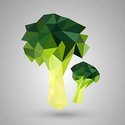 EPS 해외이미지 모양 식물 디자인 배너 잡화 음식 농업 다이어트 채소 과일 일러스트 자연 아이디어 건강 요리 그래픽 초록색 농작물 농장 정원 신선 달콤 맛 브로콜리 먹기 그림 유기농 기하학 내추럴 채식주의자 해외일러스트 웰빙 산업 컬러 컨셉 무늬 모션 생태계 채식 파일형식 벡터 이미지허브