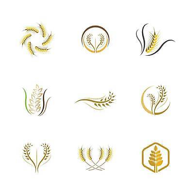 EPS 해외이미지 식물 디자인 배너 음식 빵 백그라운드 농업 다이어트 일러스트 자연 밥 건조 건강 옥수수 씨앗 농작물 농장 노란색 라벨 수확 성장 신선 시장 황금 상품 낟알 시리얼 밀 먹기 심볼 사인 유기농 보리 밀가루 스파이크 내추럴 고립 밭일 엘리먼트 귀리 해외일러스트 웰빙 산업 컬러 모션 곡류 프레임 가루 생태계 파일형식 벡터 이미지허브