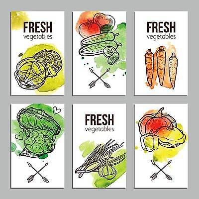EPS 해외이미지 템플릿 손 디자인 배너 계절 음식 백그라운드 스티커 농업 토마토 채소 일러스트 비즈니스 부분 자연 고추 호박 가지 오이 감자 파프리카 건강 마늘 장식 초록색 농작물 세트 세일 당근 샐러드 종 신선 신용카드 낙서 스케치 수집 레이아웃 양배추 아스파라거스 날것 후추 고립 북마크 엘리먼트 채식주의자 총각무 해외일러스트 산업 컬러 뿌리채소 미술 신체부위 금융 무 향신료 생태계 채식 파일형식 벡터 이미지허브