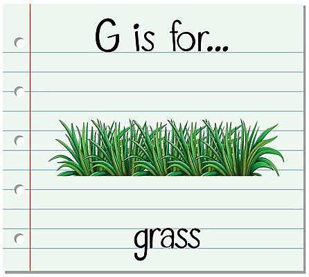 EPS 해외이미지 클립아트 식물 알파벳 영어 교육 백그라운드 잎 일러스트 자연 미술 그래픽 초록색 독서 유치원 기록 신용카드 편지 읽기 그림 원예 클립 최초 리빙 판지 양치류 초보 필기체 레터링 해외일러스트 문자 컬러 모션 문화예술 취미 금융 생태계 파일형식 벡터 이미지허브