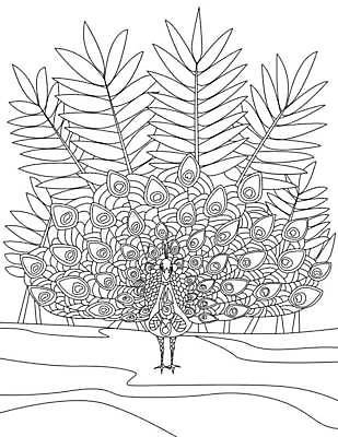 EPS 해외이미지 나무 식물 동물 디자인 꽃 실루엣 문화 백그라운드 잎 꽃무늬 패턴 일러스트 자연 추상 흑백 성인 컴퓨터그래픽 장식 책 여름 유행 나뭇가지 직물 화려 우아함 낙서 공작 숲 만화 스케치 문신 심볼 깃털 그림 윤곽 페이지 구식 해외일러스트 계절 컨셉 무늬 조류 촬영기법 미술 사람 그래픽 생태계 파일형식 벡터 이미지허브