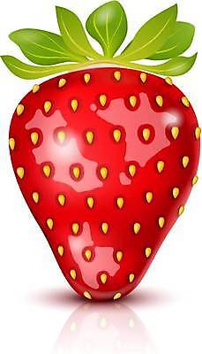 EPS 해외이미지 백그라운드 잎 일러스트 딸기 사람없음 빨간색 신선 심볼 해외일러스트 식물 컬러 과일 파일형식 벡터 이미지허브
