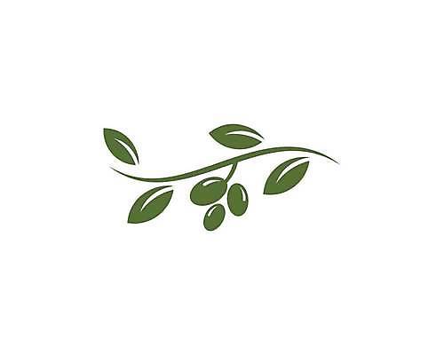 EPS 해외이미지 나무 식물 디자인 음식 백그라운드 잎 농업 채소 과일 일러스트 포장 자연 건강 초록색 라벨 나뭇가지 신선 기름 심볼 사인 에코 유기농 올리브 짐싸기 내추럴 엘리먼트 해외일러스트 웰빙 열매 산업 컬러 프레임 환경 생태계 파일형식 벡터 이미지허브