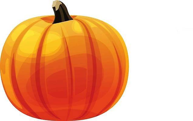 EPS 해외이미지 음식 채소 오렌지 일러스트 호박 할로윈 추수감사절 스쿼시 고립 해외일러스트 기독교 스포츠 과일 구기 파일형식 벡터 이미지허브