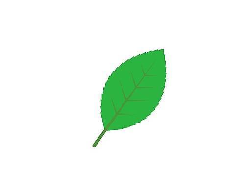 EPS 해외이미지 식물 디자인 선 백그라운드 잎 일러스트 재료 자연 건강 장식 초록색 가을 신선 만 차 시원함 민트 허브 심볼 유기농 향 바질 로즈메리 내추럴 쪽파 고립 딜 백리향 세이지 오레가노 해외일러스트 웰빙 계절 음료 컬러 생태계 파 파일형식 벡터 채소 이미지허브