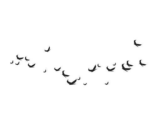 EPS 해외이미지 동물 디자인 실루엣 야생동물 여행 패턴 날개 일러스트 자연 조류 하늘 안테나 풍경 야외 그래픽 장식 반려동물 컬러풀 검은색 흰색 그룹 자르기 수집 비둘기 윤곽 내추럴 고립 동물상 벌새 식민지 이국적 많음 해외일러스트 컬러 컨셉 무늬 통신 모션 촬영기법 조형물 생태계 파일형식 벡터 이미지허브