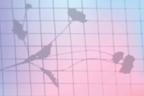 EPS 해외이미지 꽃 백그라운드 일러스트 그림자 사람없음 그늘 격자 블러 블러효과 해외일러스트 식물 무늬 파일형식 벡터 효과 이미지허브