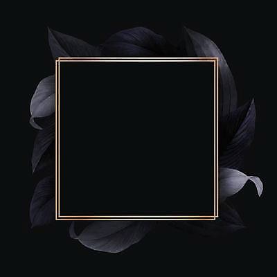 EPS 해외이미지 잎 일러스트 사각프레임 사람없음 검은색 정사각형 보테니컬아트 해외일러스트 도형 식물 컬러 프레임 사각형 파일형식 벡터 이미지허브