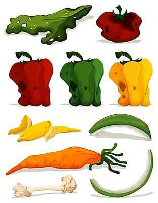 EPS 해외이미지 클립아트 길 음식 백그라운드 토마토 채소 과일 일러스트 뼈 바나나 미술 그래픽 세트 환경 당근 흰색 그룹 쓰레기 폐기물 멜론 자르기 수집 버리기 오브젝트 그림 클립 낭비 고립 해로움 많음 시리즈 해외일러스트 컬러 컨셉 모션 문화예술 뿌리채소 파일형식 벡터 이미지허브