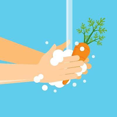 EPS 해외이미지 식물 라이프스타일 손 음식 컨셉 잎 농업 다이어트 채소 과일 일러스트 자연 건조 건강 요리 안전 초록색 물 농장 주방 당근 거품 샐러드 젖음 욕실 수확 신선 액체 수비 플랫 보호 씻기 빨래 만화 먹기 심볼 싱크대 에코 유기농 주부 채식 날것 뿌리 비타민 청소부 박테리아 내추럴 고립 돌봄 바이오 생태학 채식주의자 스타일 비건 해외일러스트 자연요소 직업 웰빙 교육 산업 컬러 가사 의학 모션 뿌리채소 생활 신체부위 환경 청결 개수대 생태계 영양소 파일형식 벡터 이미지허브