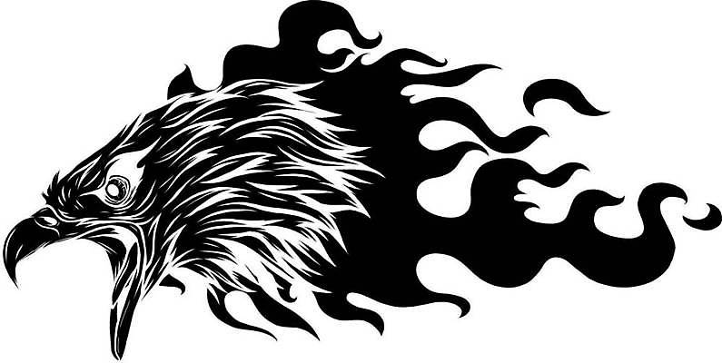 EPS 해외이미지 동물 디자인 실루엣 포즈 일러스트 자연 조류 불 추상 불꽃 잉크 그림자 그래픽 장식 가로 머리 검은색 힘 뜨거움 공격 문신 심볼 깃털 사인 속도 매움 부리 날카로움 독수리 육식동물 공상 연소 고립 공격적 구성 마스코트 봉황 집게발 해외일러스트 자연요소 컬러 컨셉 무늬 모션 촬영기법 신체부위 맛 생태계 파일형식 벡터 이미지허브