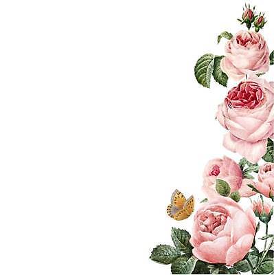 EPS 해외이미지 분홍색 백그라운드 일러스트 사람없음 장미 엘리먼트 카피스페이스 해외일러스트 꽃 컬러 공백 파일형식 벡터 이미지허브