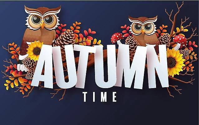 EPS 해외이미지 디자인 열매 낙엽 두마리 일러스트 해바라기 타이포그라피 사람없음 파란색 쇼핑 세일 버섯 나뭇가지 부엉이 솔방울 해외일러스트 나무 식물 문자 꽃 컬러 잎 2 조류 파일형식 벡터 이미지허브