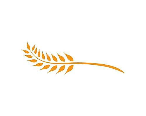 EPS 해외이미지 식물 디자인 배너 음식 빵 백그라운드 농업 다이어트 일러스트 밥 건조 건강 옥수수 씨앗 농작물 농장 노란색 라벨 수확 성장 흰색 신선 시장 황금 상품 낟알 밀 먹기 심볼 사인 유기농 귀 밀가루 스파이크 내추럴 고립 밭일 엘리먼트 귀리 해외일러스트 웰빙 산업 컬러 모션 곡류 프레임 신체부위 가루 파일형식 벡터 사람 이미지허브