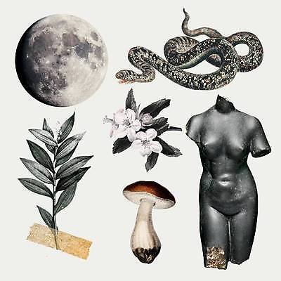 EPS 해외이미지 꽃 잎 일러스트 사람없음 세트 검은색 버섯 달 빈티지 뱀 복고 콜라주 인물조각상 마스킹테이프 해외일러스트 자연요소 식물 컬러 컨셉 파충류 조각상 테이프 파일형식 벡터 이미지허브