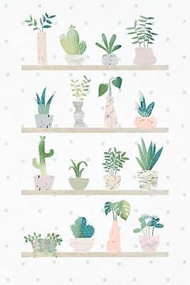 EPS 해외이미지 식물 화분 화초 잎 일러스트 선반 선인장 사람없음 세트 스타일 해외일러스트 가구 파일형식 벡터 이미지허브