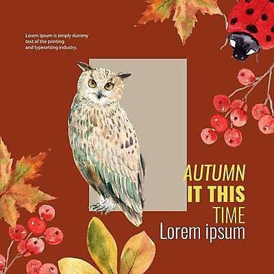 EPS 해외이미지 열매 단풍 두마리 일러스트 프레임 사람없음 무당벌레 부엉이 프레임일러스트 해외일러스트 식물 곤충 잎 2 조류 파일형식 벡터 이미지허브