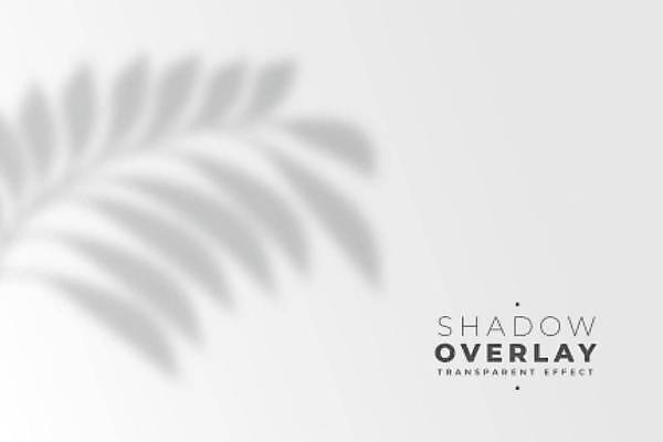 EPS 해외이미지 백그라운드 잎 일러스트 그림자 사람없음 그늘 블러 블러효과 해외일러스트 식물 파일형식 벡터 효과 이미지허브