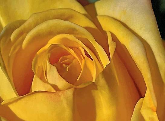 EPS 해외이미지 나무 식물 계절 공원 꽃잎 꽃 백그라운드 잎 꽃무늬 농업 과일 일러스트 자연 야외 초록색 컬러풀 태양 노란색 정원 맑음 봄 성장 벚꽃 나뭇가지 신선 개화 4월 5월 도착 묘사 내추럴 해외일러스트 자연요소 공공시설 산업 컬러 무늬 날씨 날짜 생태계 파일형식 벡터 이미지허브