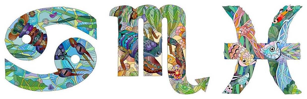 EPS 해외이미지 선 일러스트 추상 사람없음 별자리 그림 젠탱글 해외일러스트 무늬 파일형식 벡터 이미지허브