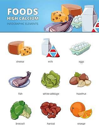 EPS 해외이미지 디자인 배너 음료 음식 다이어트 채소 오렌지 과일 일러스트 재료 자연 치즈 건강 어류 그래픽 세트 계란 인포그래픽 우유 정보 신선 그룹 플랫 아침식사 상품 브로콜리 수집 먹기 심볼 사인 유기농 양배추 비타민 강낭콩 내추럴 고립 단백질 엘리먼트 칼슘 개암 해외일러스트 웰빙 열매 모션 유제품 콩 알 식사 수중동물 생태계 영양소 파일형식 벡터 이미지허브