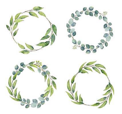 EPS 해외이미지 열매 줄기 잎 일러스트 프레임 사람없음 세트 원형 해외일러스트 도형 식물 파일형식 벡터 이미지허브