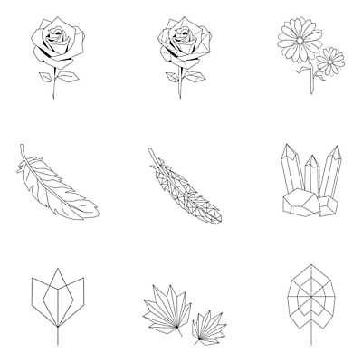 EPS 해외이미지 꽃 선 잎 라인일러스트 일러스트 나뭇잎 사람없음 세트 보석 깃털 해외일러스트 식물 광석 파일형식 벡터 이미지허브