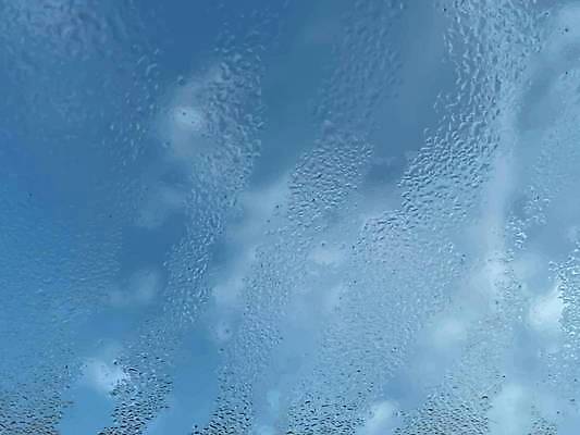 EPS 해외이미지 식물 계절 백그라운드 잎 패턴 일러스트 자연 표면 아침 날씨 추상 야외 초록색 물 빛 반사 환경 정원 봄 거품 젖음 성장 물방울 신선 투명 액체 닫기 떨어짐 이슬 빗방울 순수 묘사 질감 내추럴 해외일러스트 주간 자연요소 컬러 컨셉 무늬 모션 비_날씨 생태계 파일형식 벡터 이미지허브