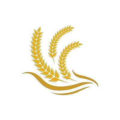 EPS 해외이미지 식물 디자인 배너 음식 빵 백그라운드 농업 다이어트 일러스트 자연 밥 건조 건강 옥수수 씨앗 농작물 농장 노란색 라벨 수확 성장 신선 시장 황금 상품 낟알 시리얼 밀 먹기 심볼 사인 유기농 보리 밀가루 스파이크 내추럴 고립 밭일 엘리먼트 귀리 해외일러스트 웰빙 산업 컬러 모션 곡류 프레임 가루 생태계 파일형식 벡터 이미지허브