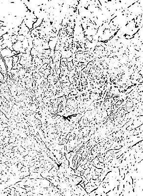 EPS 해외이미지 종이 백그라운드 패턴 일러스트 벽지 표면 추상 검은색 수확 흰색 직물 거친 균열 인쇄 가죽 천 피부 묘사 질감 복고 먼지 덮기 내추럴 구김 그런지 옛날 울퉁불퉁 접기 효과 해외일러스트 컬러 무늬 농업 모션 신체부위 파일형식 벡터 이미지허브
