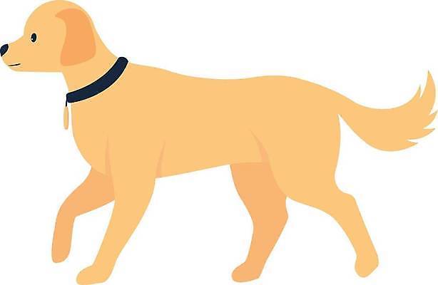 EPS 해외이미지 일러스트 사람없음 귀여움 골든리트리버 개캐릭터 해외일러스트 동물캐릭터 컨셉 개 리트리버 파일형식 벡터 이미지허브