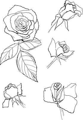 EPS 해외이미지 식물 계절 꽃 야생동물 일러스트 자연 잉크 흑백 그래픽 장식 세트 장미 펜 정원 검은색 흰색 나뭇가지 인쇄 스케치 수집 그림 생물학 판화 옛날 해외일러스트 나무 동물 교육 컬러 촬영기법 미술 필기구 생태계 파일형식 벡터 이미지허브