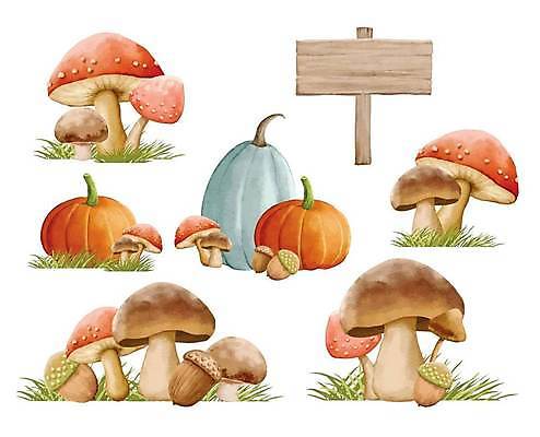 EPS 해외이미지 식물 계절 결혼 백그라운드 잎 꽃무늬 오렌지 일러스트 자연 호박 추상 미술 그래픽 장식 빨간색 갈색 버섯 페인트 덮개 나뭇가지 수집 내추럴 고립 엘리먼트 해외일러스트 나무 꽃 컬러 무늬 채소 과일 문화예술 이벤트 뚜껑 생태계 파일형식 벡터 이미지허브