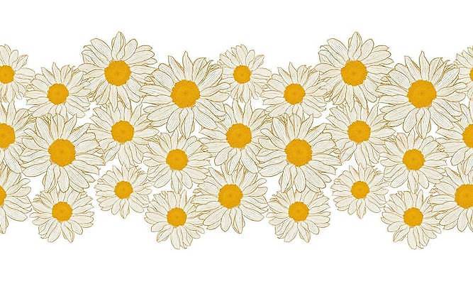 EPS 해외이미지 식물 디자인 배너 꽃 꽃무늬 패턴 일러스트 자연 벽지 부활절 미술 그래픽 장식 가로 컬러풀 노란색 머리 유행 화환 봄 흰색 직물 인쇄 질감 데이지 손그림 거베라 엘리먼트 캐모마일 포장소품 스타일 카피스페이스 반복 국경 해외일러스트 계절 기념일 컬러 무늬 포장 문화예술 신체부위 공백 허브 오브젝트 생태계 포장재료 파일형식 벡터 이미지허브