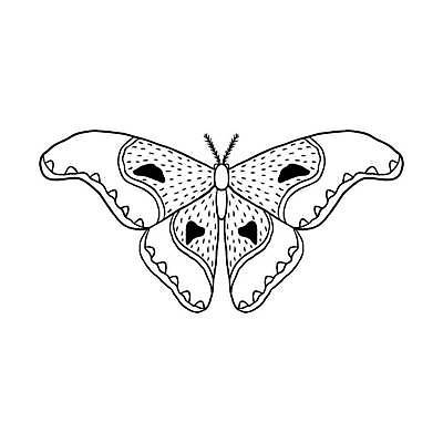 EPS 해외이미지 야생동물 나비 곤충 꽃무늬 절지류 날개 일러스트 그래픽 장식 검은색 흰색 해충 낙서 인쇄 심볼 사인 그림 윤곽 나방 내추럴 엘리먼트 이국적 스타일 해외일러스트 동물 꽃 컬러 무늬 벌레 파일형식 벡터 이미지허브