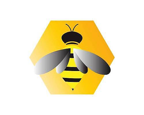 EPS 해외이미지 클립아트 디자인 음식 곤충 꽃무늬 오렌지 일러스트 비즈니스 자연 디저트 세포 따뜻함 건강 사랑 그래픽 장식 농장 봄 달콤 맛 떨어짐 시원함 만화 벌 수집 허브 딱정벌레 심볼 만족 국자 에코 꿀 벌집 고립 동물상 밀랍 바이오 스크랩북 엘리먼트 특별함 해외일러스트 식물 동물 계절 꽃 감정 컨셉 무늬 농업 과일 주방용품 조형물 환경 생태계 파일형식 벡터 이미지허브