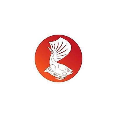 EPS 해외이미지 동물 디자인 야생동물 바다 백그라운드 오렌지 일러스트 자연 벽지 어류 미술 물 파란색 반려동물 컬러풀 보라색 검은색 수중 수영 흰색 그리기 만화 싸움 윤곽 지느러미 수족관 고립 동물상 해외일러스트 자연요소 컬러 과일 모션 문화예술 조형물 수중동물 수상스포츠 생태계 파일형식 벡터 스포츠 이미지허브
