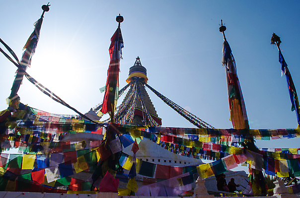 포토 JPG 해외이미지 구름 종교 불교 하늘 사람없음 여름 세계 태양 탑 맑음 기도 원숭이 깃발 사찰 재산 시력 신성 네팔 복잡 사리탑 숭배 여의주 카트만두 해외포토 자연요소 건축물 계절 아시아 컨셉 포유류 종교건축 날씨 금융 파일형식 이미지허브
