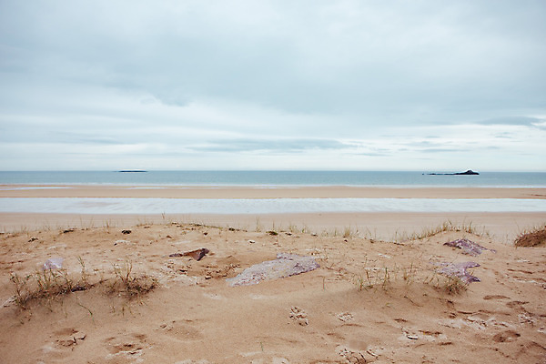 포토 JPG 해외이미지 디자인 모래 바다 분홍색 섬 백그라운드 컨셉 자연 벽지 휴가 휴식 건강 해변 사람없음 야외 치료 장식 빛 스파 개 유기농 질감 날것 내추럴 구성 돌봄 카피스페이스 해외포토 웰빙 컬러 포유류 의학 모션 공백 생태계 파일형식 이미지허브