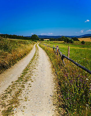 포토 JPG 해외이미지 계절 유럽 도로 길 여행 밭 농업 자국 자연 하늘 산 사람없음 야외 목재 초록색 파란색 뷰티 환경 산책 시골 오솔길 언덕 폴란드 철책 해외포토 나무 나라 산업 컬러 재료 교통시설 휴식 생태계 파일형식 이미지허브