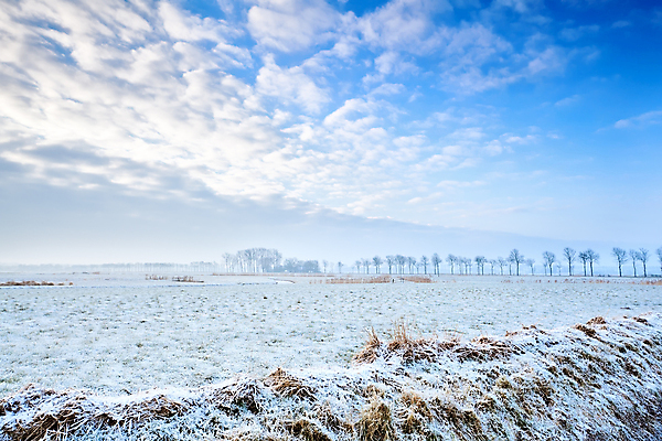 포토 JPG 해외이미지 나무 겨울 밭 자연 하늘 아침 사람없음 야외 파란색 농경지 침묵 추위 흰색 시골 속도 네덜란드 서리 심플 줄서기 평야 수평선 해외포토 주간 식물 계절 유럽 컬러 농업 모션 농장 소리 생태계 파일형식 이미지허브