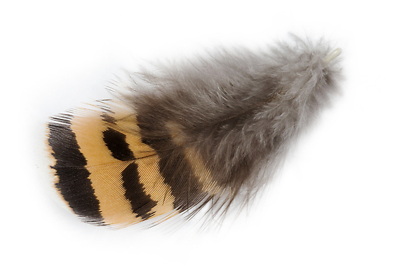 포토 JPG 해외이미지 동물 1 야생동물 백그라운드 패턴 상상 자연 조류 따뜻함 그림자 사람없음 장식 세로 빛 컬러풀 갈색 노란색 회색 흰색 떨어짐 깃털 묘사 오브젝트 싱글 질감 부드러움 솜털 내추럴 강렬 깃털펜 해외포토 컬러 컨셉 무늬 펜 감각 생태계 파일형식 이미지허브