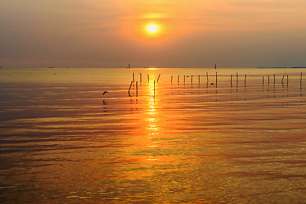포토 JPG 해외이미지 호수 바다 백그라운드 오렌지 태국 자연 조류 하늘 아침 사람없음 야외 물 빛 컬러풀 햇빛 태양 반사 노란색 일출 침묵 일몰 새벽 활발 황금 저녁 장면 스카이라인 내추럴 수평선 해외포토 주간 자연요소 동물 아시아 컬러 컨셉 과일 노을 소리 야간 생태계 파일형식 이미지허브