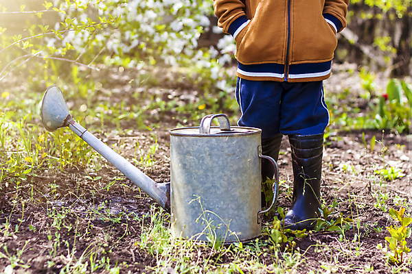 포토 JPG 해외이미지 식물 백인 라이프스타일 꽃 행복 채소 가족 자연 부츠 한명 사람 소년 초록색 물 정원 맑음 봄 유치원 물뿌리개 수확 성장 흰색 아기 도움 캔 작음 물주기 유기농 원예 내추럴 걸음마 돌봄 원예사 해외포토 자연요소 서양인 직업 1 웰빙 계절 교육 남자 감정 어린이 컬러 신발 컨셉 농업 관계 모션 날씨 취미 생활 크기 생태계 파일형식 이미지허브