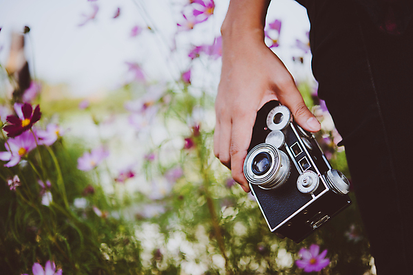 포토 JPG 해외이미지 손 꽃 분홍색 컨셉 자연 사람 취미 사람없음 야외 컬러풀 카메라 사진촬영 장비 수확 신선 잡기 사진사 필름 오브젝트 싱글 코스모스 복고 내추럴 옛날 스타일 힙스터 해외포토 식물 패션 컬러 농업 모션 신체부위 전자제품 촬영 작가 생태계 파일형식 이미지허브