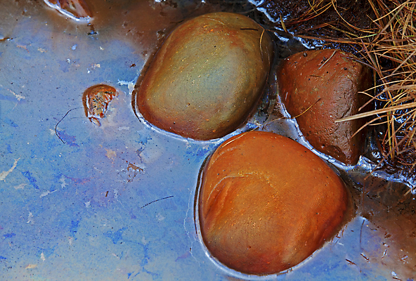 포토 JPG 해외이미지 식물 야생동물 모래 바다 줄기 백그라운드 잎 패턴 자연 노르웨이 풍경 사람없음 빨간색 물 파란색 빛 컬러풀 반사 노란색 평화 검은색 어둠 활발 회색 가을 바위 흰색 숲 파운드 밀짚 해외포토 자연요소 동물 계절 유럽 컬러 컨셉 돈 무늬 돌_바위 짚 생태계 파일형식 이미지허브