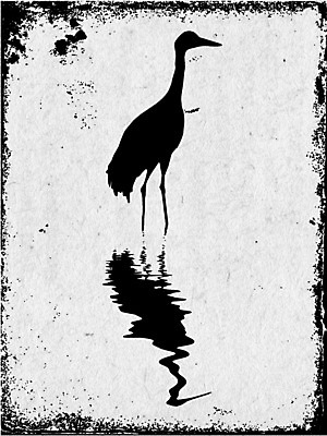 JPG 해외이미지 한마리 실루엣 일러스트 사람없음 반사 학 빈티지 질감 해외일러스트 1 컨셉 조류 촬영기법 파일형식 이미지허브